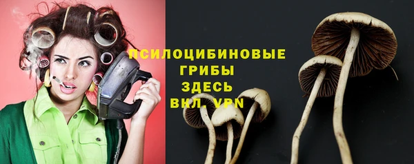ПСИЛОЦИБИНОВЫЕ ГРИБЫ Абаза