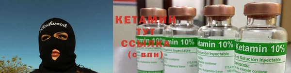 ПСИЛОЦИБИНОВЫЕ ГРИБЫ Абаза