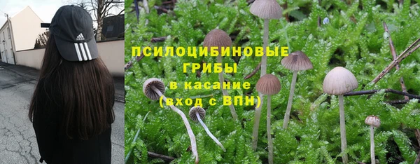 2c-b Абдулино
