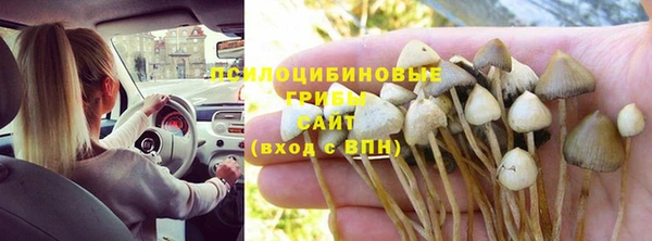 ПСИЛОЦИБИНОВЫЕ ГРИБЫ Абаза