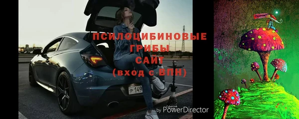 ПСИЛОЦИБИНОВЫЕ ГРИБЫ Абаза