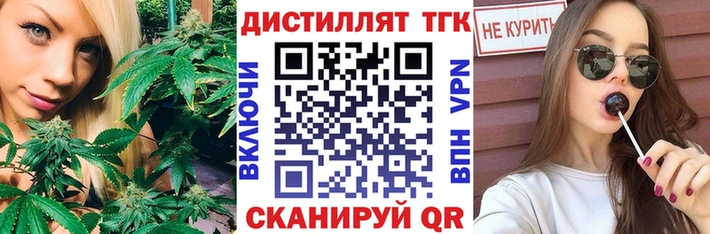 цена   Шимановск  ТГК концентрат 