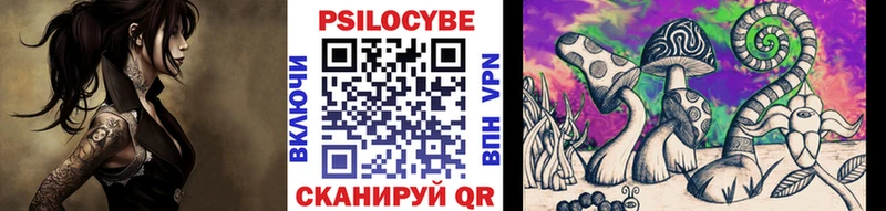 хочу   Шимановск  Псилоцибиновые грибы MAGIC MUSHROOMS 